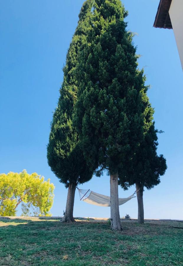 Elena'S Country Home & Spa Καλυθιές Εξωτερικό φωτογραφία
