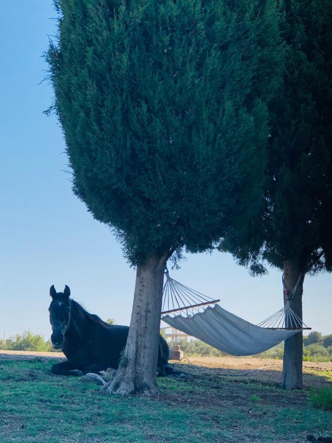 Elena'S Country Home & Spa Καλυθιές Εξωτερικό φωτογραφία