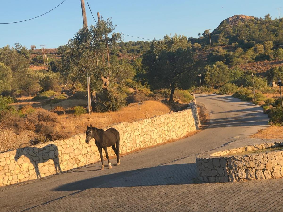 Elena'S Country Home & Spa Καλυθιές Εξωτερικό φωτογραφία